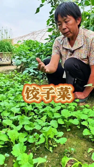 ӲԹ#ũ #߲ #Ӳ #ݪֲС #߲ݪֲ @DOU+С @С @DOU+