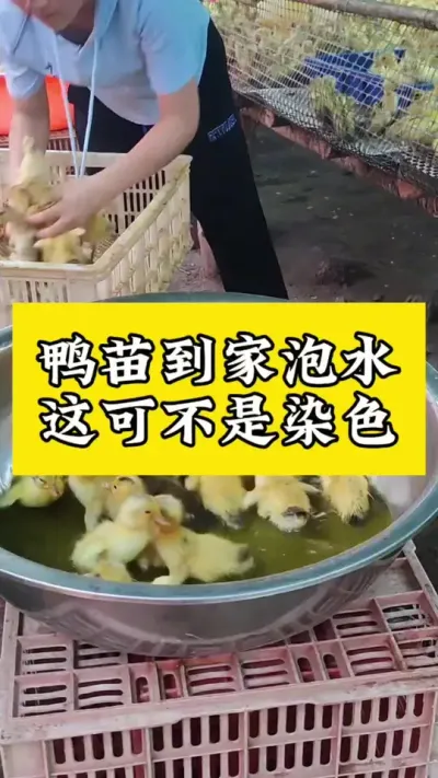 ѼּˮɲȾɫ#ѧѼ #Ѽ #ѼС #Ѽרҵ