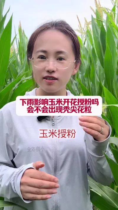 ӰŻڷ #ũƹ #ũ֧ũ #ũҵݪֲ # #ũ