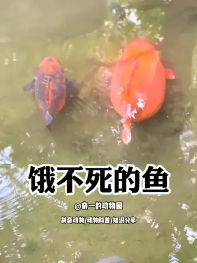 ûзûбģ # #涯ڶ # # #һ