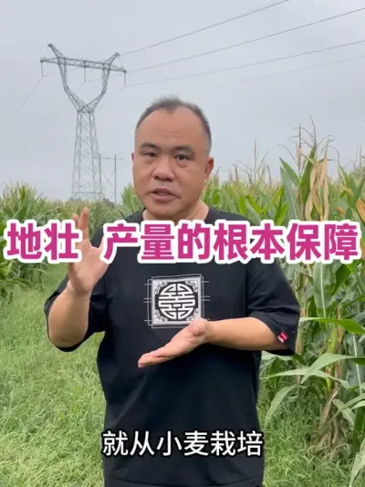 ׳ Ļ ũʱơλһ壡       Ҫ׳ʵ#ũҵݪֲ