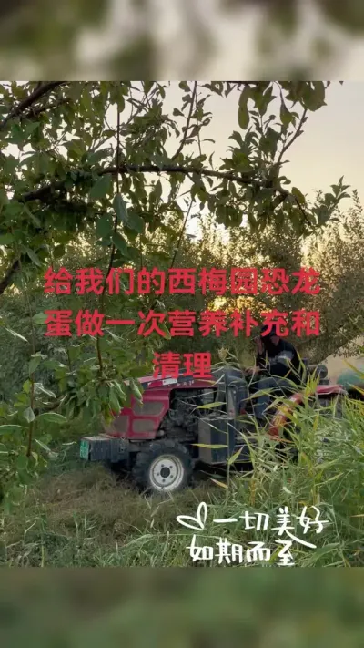 ǵĹ԰һαĥ#ũ #ũշͬ #ѿֽ #԰԰