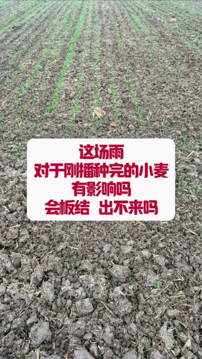 ⳡӰС #ũҵݪֲ #ũ #ݪֲС #ũũ