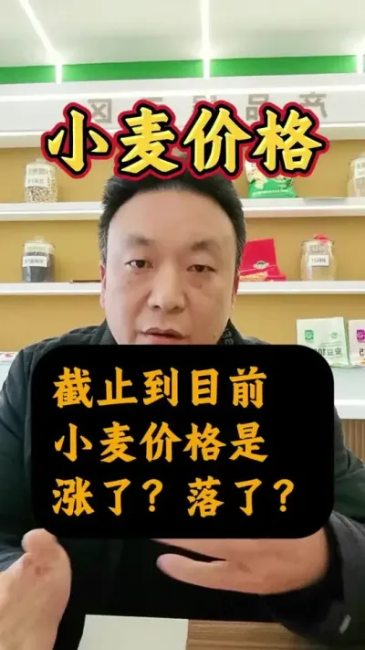 ΪֹСǮǵ#СǮ #Сݪֲ