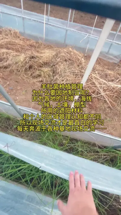 ǾݪֲΪʲôҪڸصõС˽ҵ֪ֱֳ׵ѧϰ챼æֳֻ……# #