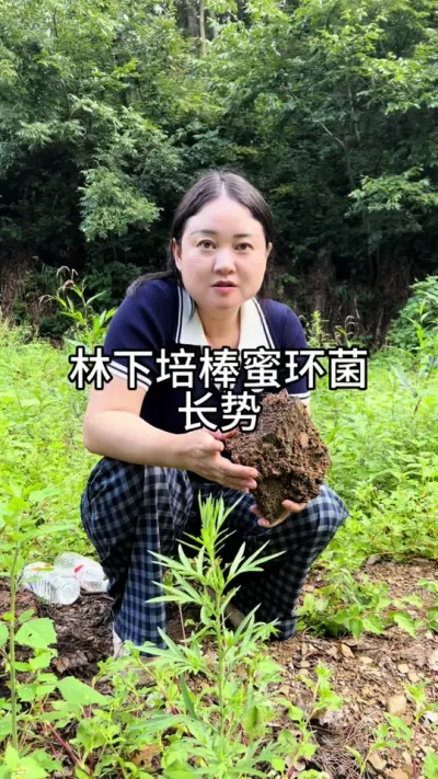 ۻ #ũ #ũ #ݪֲ @С