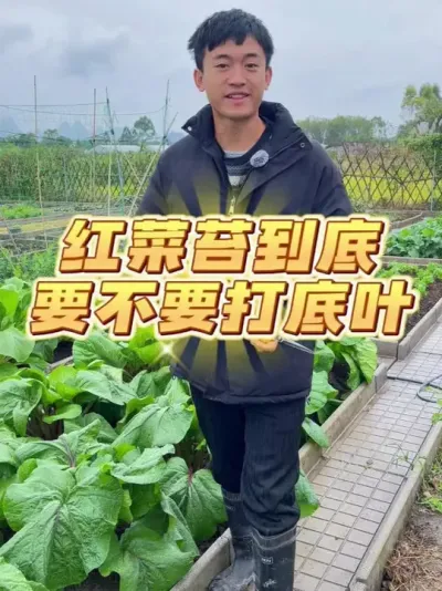 ̦ҪҪҶ #ݪֲС #ֲ #עһѧֲ #̦ #ͥݪֲ