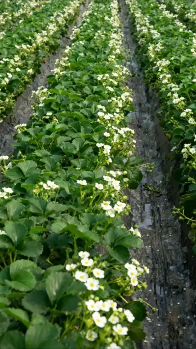 ݮһŻ#ٻ##ũ#ѿֽ