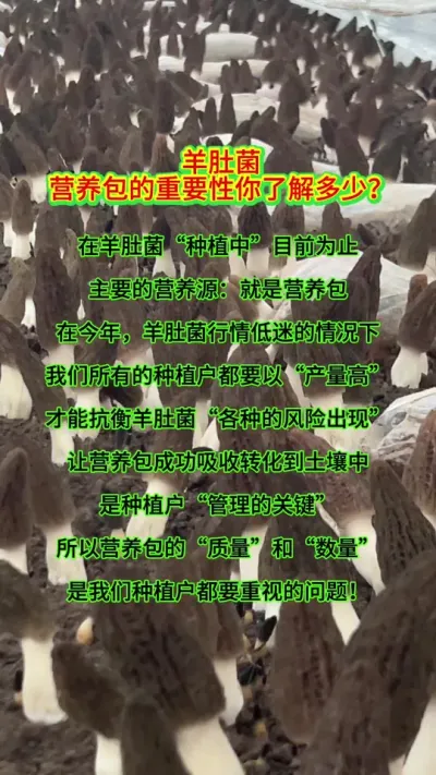 Ǿ“ݪֲ”ΪֹҪӪԴӪ ڽǾԵеݪֲҪ“”ŻǾ“ֵΣ”Ӫֳתݪֲ“Ҫ