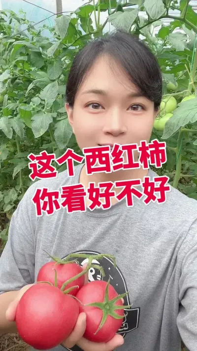 #ݪֲ##¶ Ǯ ע ໥ѧϰ@С