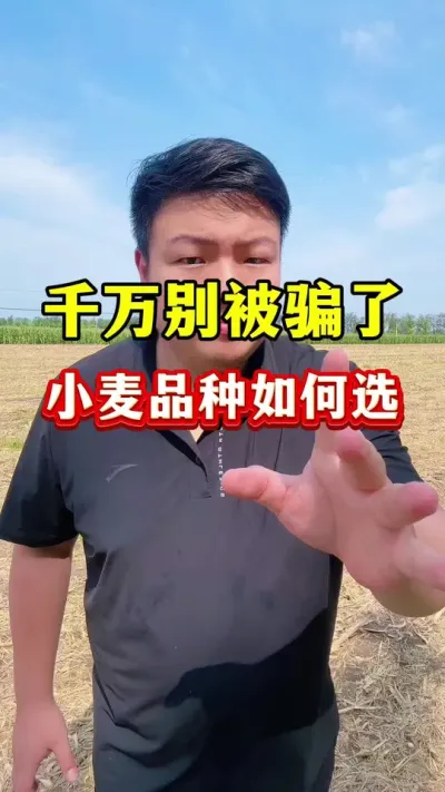 СƷһҪѡƷ֣ #Сݪֲ #С߲Ʒ #СƷ #ֲ6