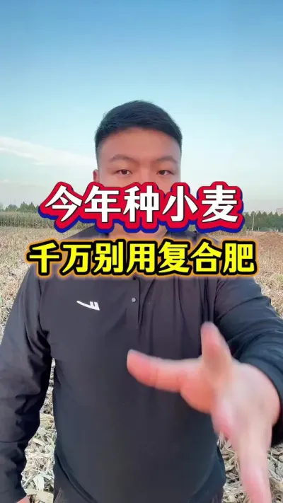 СøϷʣ #ũҵݪֲ #Сݪֲ #С׷ #Ϸ #ݪֲС