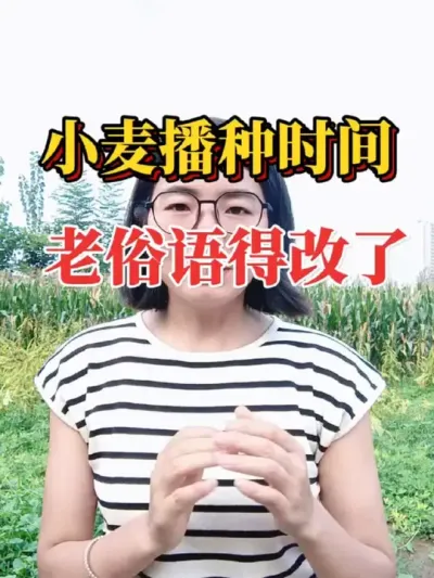 Сʲôʱ䲥ֽøĸˣ#ũҵݪֲ #ũݪֲ #Сݪֲʱ #ũ #2025ũ