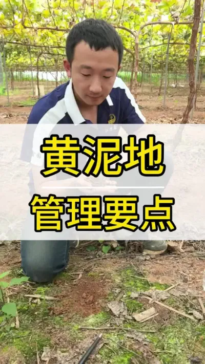    Ҫ #ݪֲ #ũ2022 #õ #ũ #ũ