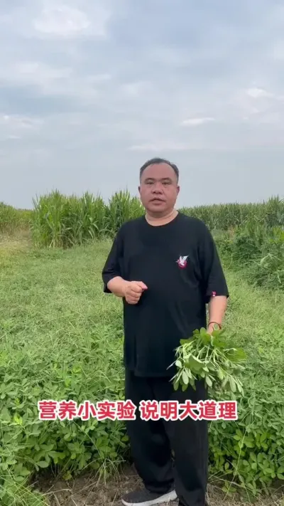 Լ۱ߵũ——Ԭϵл߼ضطϵͳʩ