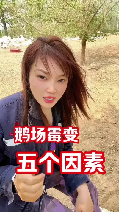 鹅场霉变，五个要素#养鹅人#养鹅技术分享