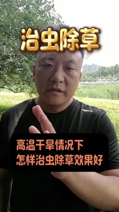 ���¸ɺ������γ������#�����溦���� #������������