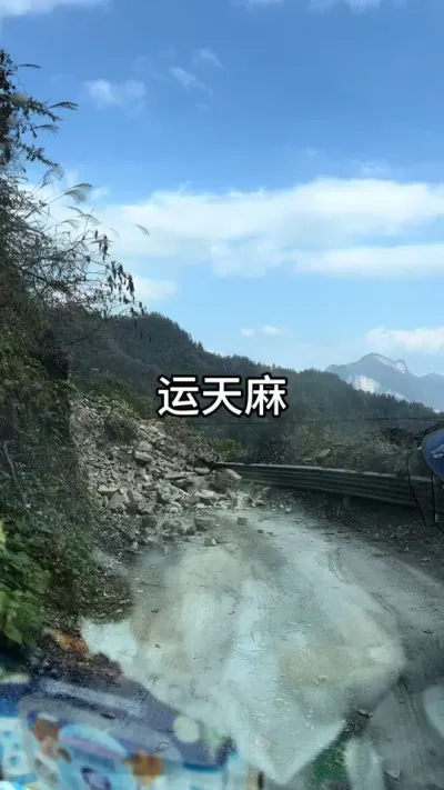 鳣 ɽ·#ݪֲ #շ #ҩݪֲ