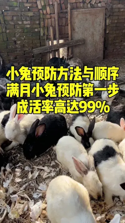 Сõһɻʰٷְ # #С #ֿ߷ֿ #Ԥսѧ #