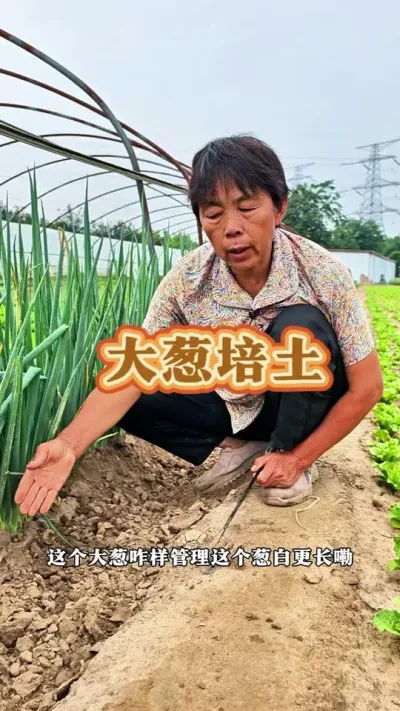 Ҫда׳Ҫڴһֱ# #ũ #߲#ݪֲ #ݪֲС @DOU+ @С @DOU+С