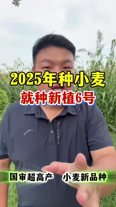 2025һҪָ߲СƷֲ6ţ #ũҵݪֲ #ݪֲС #С߲Ʒ #ֲ6