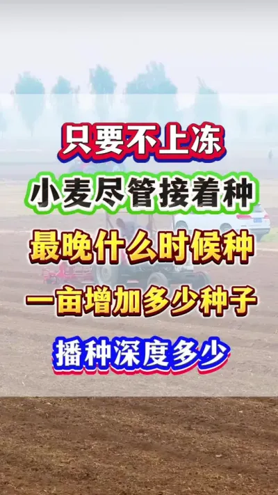 ֻҪ϶Сֻ֣ܽ #Сݪֲ #С߲ #Сݪֲ #Сʱ #ũҵݪֲ