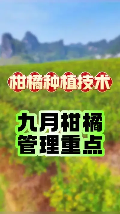 پ¹ص#ݪֲ #ٹ #ٲ溦 #԰ #ũҵݪֲ