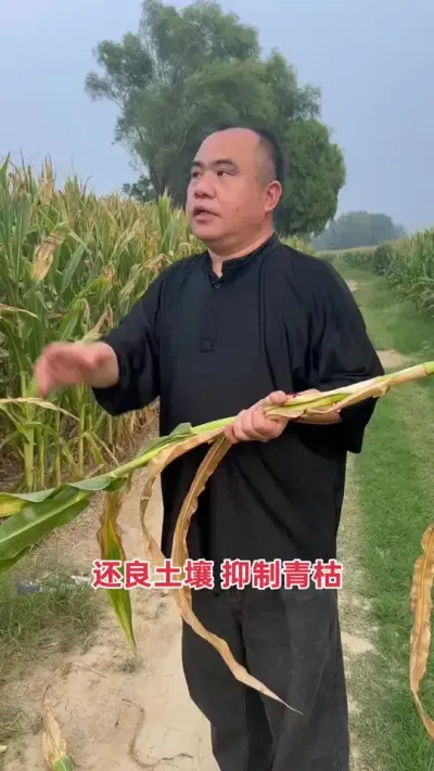 Ԭϵл̬ϷʻƱƻ