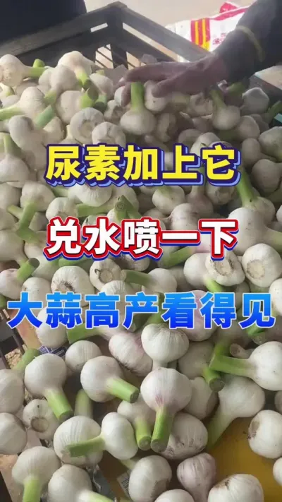 ߲ü#ݪֲ #߲ #⽽ˮ #ⲡ