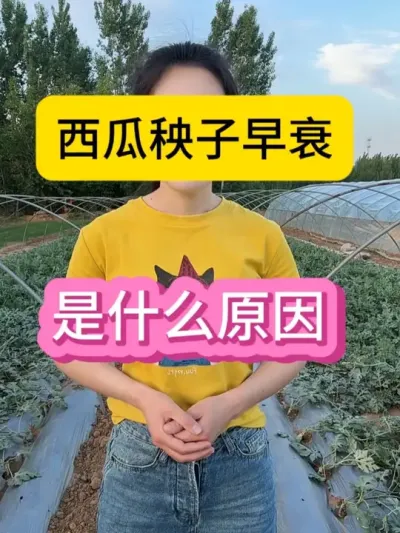 #抖音三农热点 #农业种植技术 #三农种植