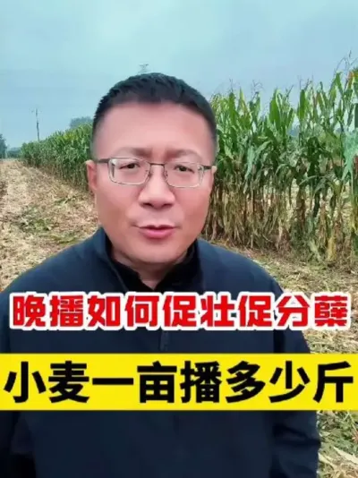 һĶҪ׳ٷ #Сݪֲ #С߲ #Сݪֲ  #С #С