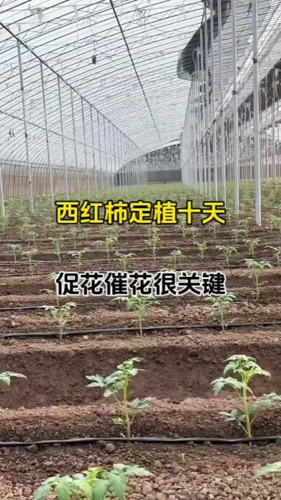 ʮҪѿֽŻ#?ũҵݪֲ #ٻ #ٻ