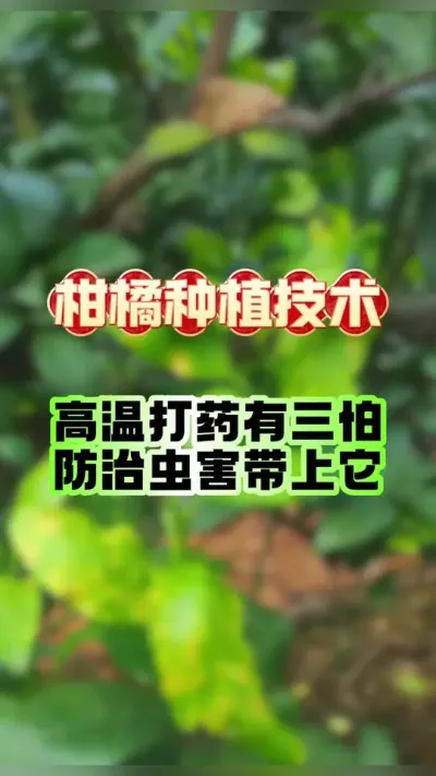 ٷβ溦ȫ#ݪֲ #ٹ #ٲ #ũ #ũ