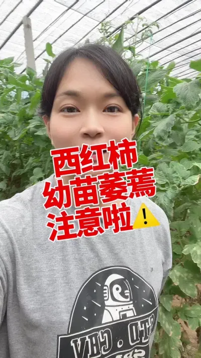 #ݪֲ##½  #ή #EM ;Һ µ@С