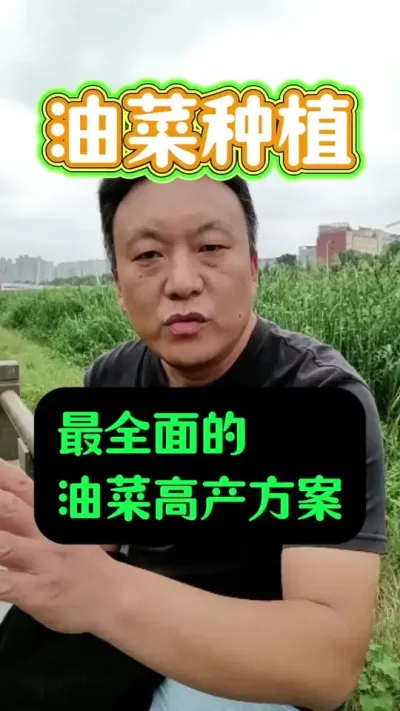 ȫͲ˸߲ݪֲƻ#Ͳݪֲ #Ͳ˹