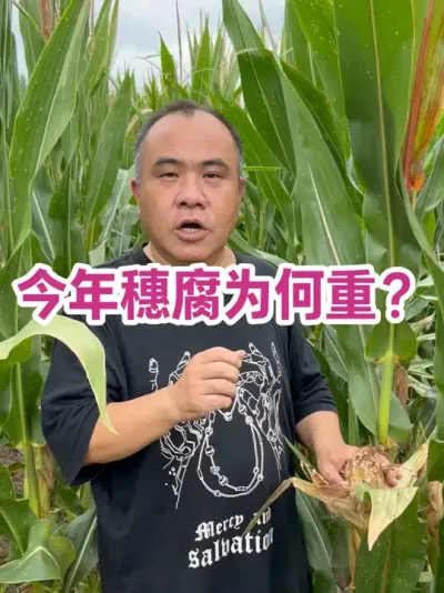 븯Ϊ ɺ״̬ͻȻˮƷһ븯#ũҵݪֲ