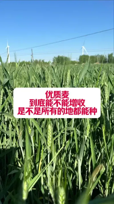 󾿾ܲʲôע #ݪֲ #ݪֲС #עũ