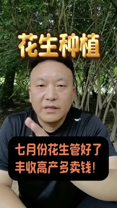 ���·ݻ��������������߲����ն���Ǯ��#����ݪֲ�������� #�����߲�ȫ��ģʽ������