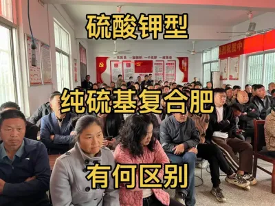 ͸Ϸʲôͬ315Ǯʲôѡĸأ1??˵˵زȪԴҽӴô˻߸ʵҪ“”“