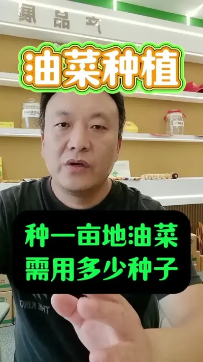 һĶͲҪӣ#Ͳݪֲ #Ͳ