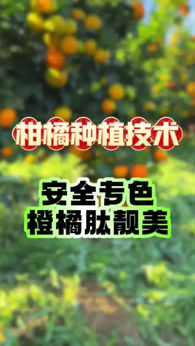 徲תɫ޲#ݪֲ  #תɫ #ٹ #