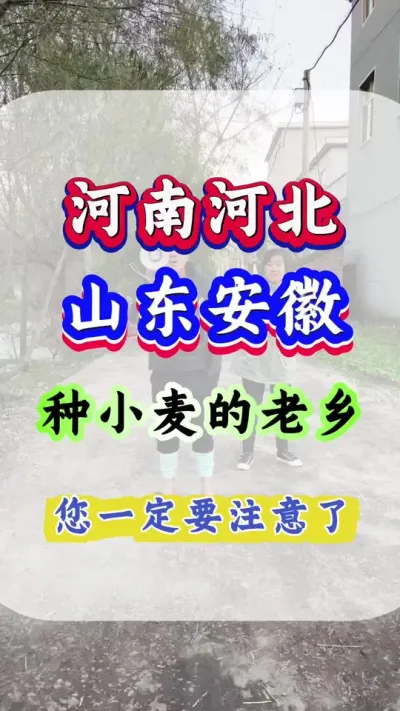 С1800 ӱɽ׼СҪĶ1800#С#Сݪֲ#С#С1800#С