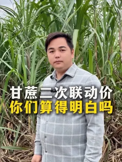 甘蔗二次联动价，你们算得明白吗#甘蔗 #甘蔗种植#种植小技巧 #分享农业知识帮农民增产增收 #增产增收才是硬道理