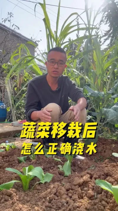 ߲Ժô׼ȷˮ#ֲС #ݪֲС #ͥݪֲ #ֲ #ѧֲ