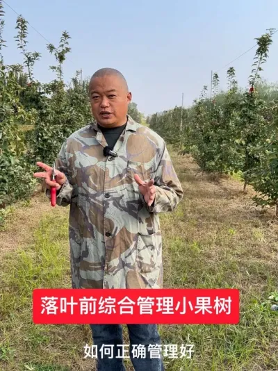 #ũ2025 #ũ #溦 # #޼