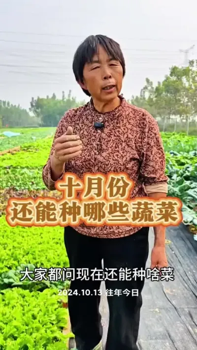 ʮ·ݻЩ߲#ũ #ʮ #߲ݪֲ #߲ @С @DOU+ @DOU+С