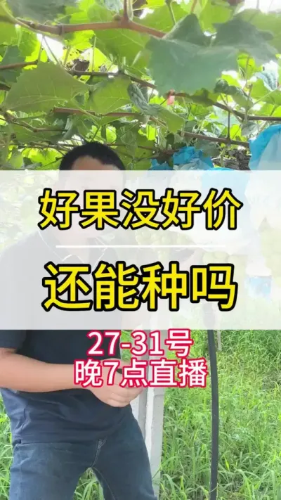 27-317ֱ #ݪֲ #ũ2022 #õ #ݪֲ  #ũ