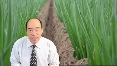 еĳ߲ݪֲ#ʱһȥϧµÿһ #ͷҵ̨ #ũҵ֪ʶ # #ũҵũ