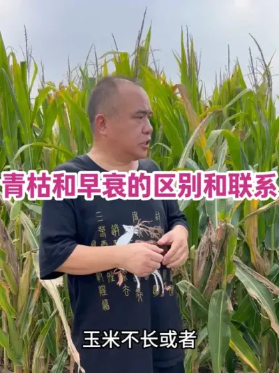 ݺ˥ϵ ʵлӪ޻ӪŽŻϽ˥˳Ҳˣ#ũҵݪֲ