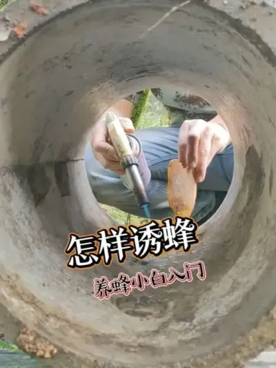 ۷ û۷Сףȥյһ۷#۷ֳ #ҵ #ũ2025